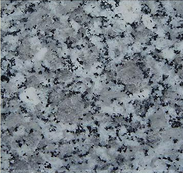 Cửa nhựa lõi thép 2 cánh